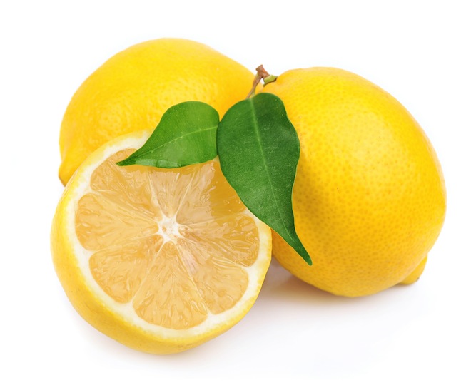 Budidaya jeruk lemon | KampusTani.Com