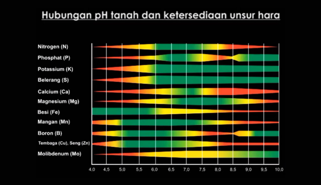 Hubungan Ph Tanah Dan Ketersediaan Unsur Hara Kampustani Com