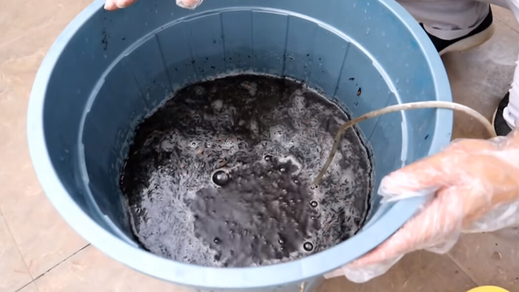  Cara Membuat Compost Tea KampusTani Com